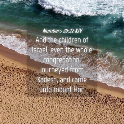 Picture 04 - Numbers 20:22 KJV - And the children of Israel, even the whole - Bible Verse Picture