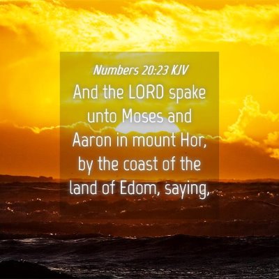Picture 04 - Numbers 20:23 KJV - And the LORD spake unto Moses and Aaron in mount - Bible Verse Picture