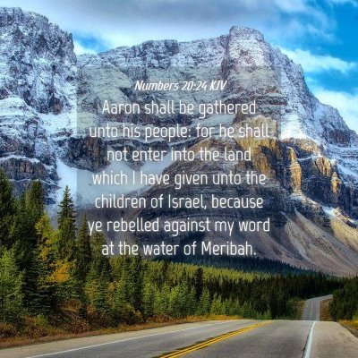 Picture 04 - Numbers 20:24 KJV - Aaron shall be gathered unto his people: for he - Bible Verse Picture