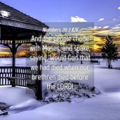 Picture 04 - Numbers 20:3 KJV - And the people chode with Moses, and spake, - Bible Verse Picture