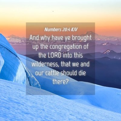 Picture 04 - Numbers 20:4 KJV - And why have ye brought up the congregation of - Bible Verse Picture