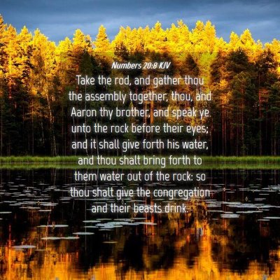 Picture 04 - Numbers 20:8 KJV - Take the rod, and gather thou the assembly - Bible Verse Picture