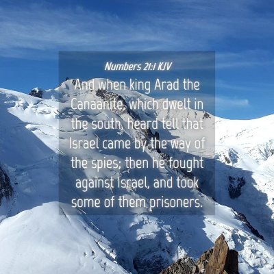 Picture 04 - Numbers 21:1 KJV - And when king Arad the Canaanite, which dwelt in - Bible Verse Picture