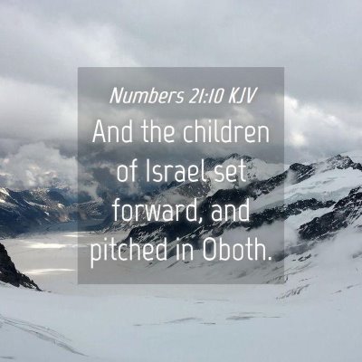Picture 04 - Numbers 21:10 KJV - And the children of Israel set forward, and - Bible Verse Picture
