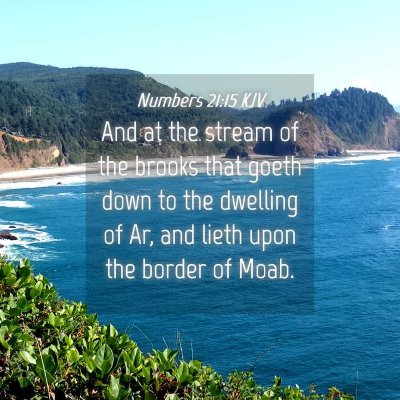 Picture 04 - Numbers 21:15 KJV - And at the stream of the brooks that goeth down - Bible Verse Picture