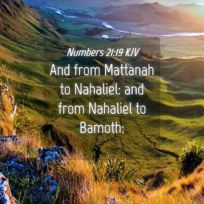 Picture 04 - Numbers 21:19 KJV - And from Mattanah to Nahaliel: and from Nahaliel - Bible Verse Picture