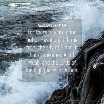 Picture 04 - Numbers 21:28 KJV - For there is a fire gone out of Heshbon, a flame - Bible Verse Picture