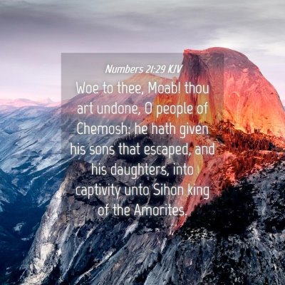 Picture 04 - Numbers 21:29 KJV - Woe to thee, Moab! thou art undone, O people of - Bible Verse Picture