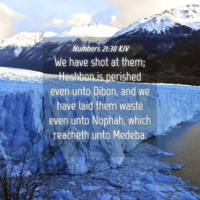 Picture 04 - Numbers 21:30 KJV - We have shot at them; Heshbon is perished even - Bible Verse Picture