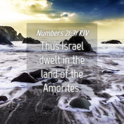 Picture 04 - Numbers 21:31 KJV - Thus Israel dwelt in the land of the - Bible Verse Picture