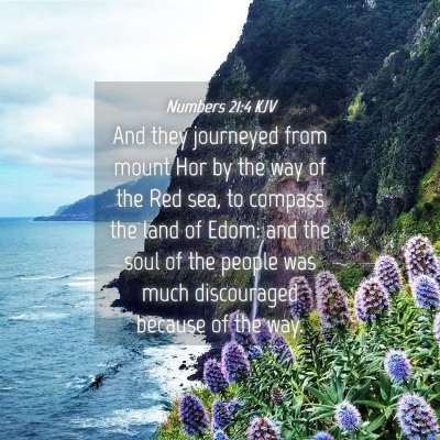 Picture 04 - Numbers 21:4 KJV - And they journeyed from mount Hor by the way of - Bible Verse Picture