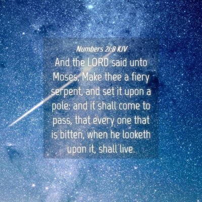 Picture 04 - Numbers 21:8 KJV - And the LORD said unto Moses, Make thee a fiery - Bible Verse Picture