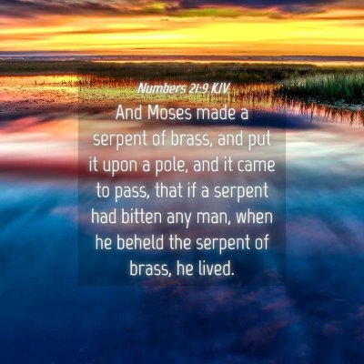 Picture 04 - Numbers 21:9 KJV - And Moses made a serpent of brass, and put it - Bible Verse Picture