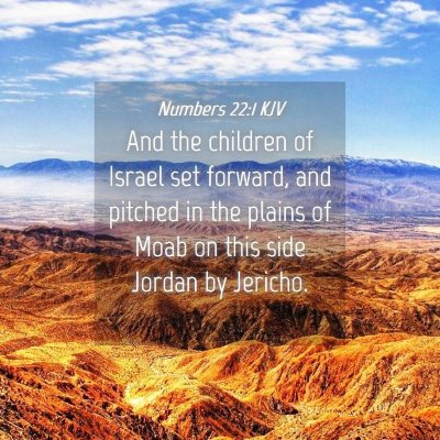 Picture 04 - Numbers 22:1 KJV - And the children of Israel set forward, and - Bible Verse Picture