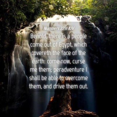 Picture 04 - Numbers 22:11 KJV - Behold, there is a people come out of Egypt, - Bible Verse Picture
