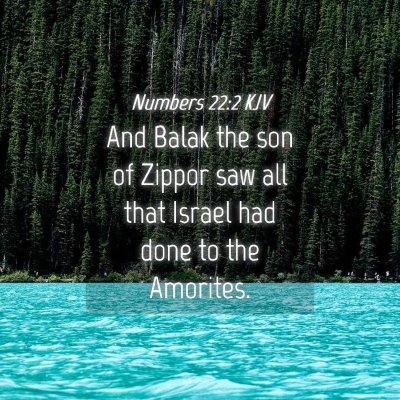 Picture 04 - Numbers 22:2 KJV - And Balak the son of Zippor saw all that Israel - Bible Verse Picture