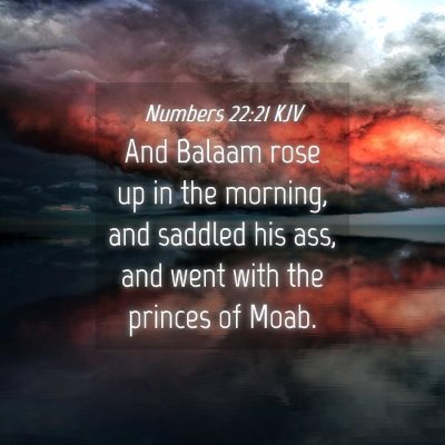 Picture 04 - Numbers 22:21 KJV - And Balaam rose up in the morning, and saddled - Bible Verse Picture