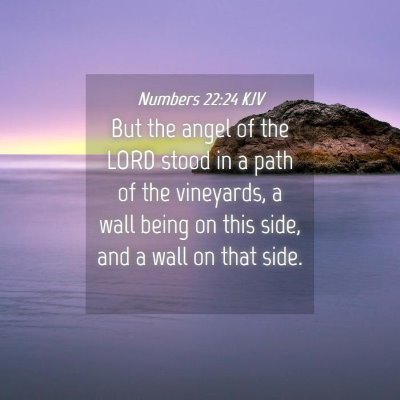 Picture 04 - Numbers 22:24 KJV - But the angel of the LORD stood in a path of the - Bible Verse Picture