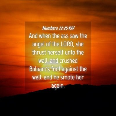 Picture 04 - Numbers 22:25 KJV - And when the ass saw the angel of the LORD, she - Bible Verse Picture