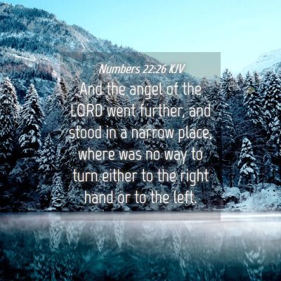 Picture 04 - Numbers 22:26 KJV - And the angel of the LORD went further, and stood - Bible Verse Picture
