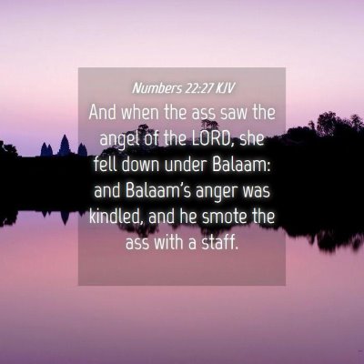 Picture 04 - Numbers 22:27 KJV - And when the ass saw the angel of the LORD, she - Bible Verse Picture