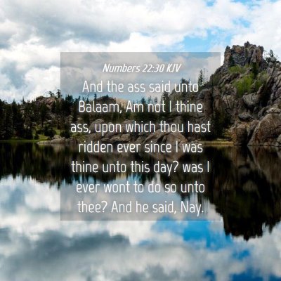 Picture 04 - Numbers 22:30 KJV - And the ass said unto Balaam, Am not I thine ass, - Bible Verse Picture