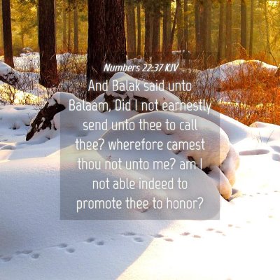 Picture 04 - Numbers 22:37 KJV - And Balak said unto Balaam, Did I not earnestly - Bible Verse Picture