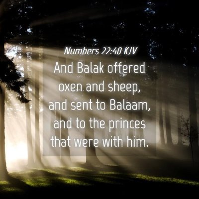 Picture 04 - Numbers 22:40 KJV - And Balak offered oxen and sheep, and sent to - Bible Verse Picture