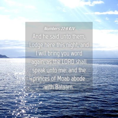 Picture 04 - Numbers 22:8 KJV - And he said unto them, Lodge here this night, and - Bible Verse Picture