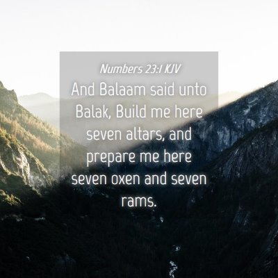 Picture 04 - Numbers 23:1 KJV - And Balaam said unto Balak, Build me here seven - Bible Verse Picture