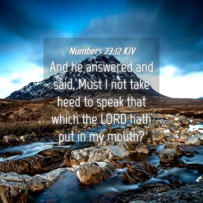 Picture 04 - Numbers 23:12 KJV - And he answered and said, Must I not take heed to - Bible Verse Picture