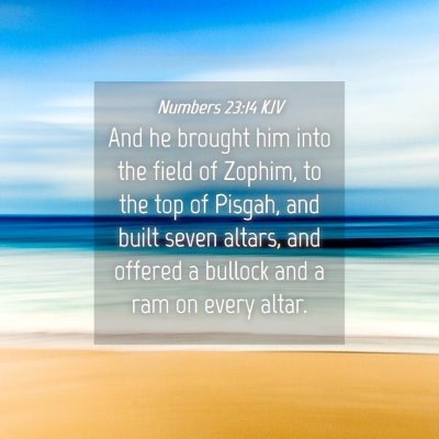 Picture 04 - Numbers 23:14 KJV - And he brought him into the field of Zophim, to - Bible Verse Picture
