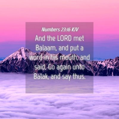 Picture 04 - Numbers 23:16 KJV - And the LORD met Balaam, and put a word in his - Bible Verse Picture