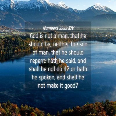 Picture 04 - Numbers 23:19 KJV - God is not a man, that he should lie; neither the - Bible Verse Picture