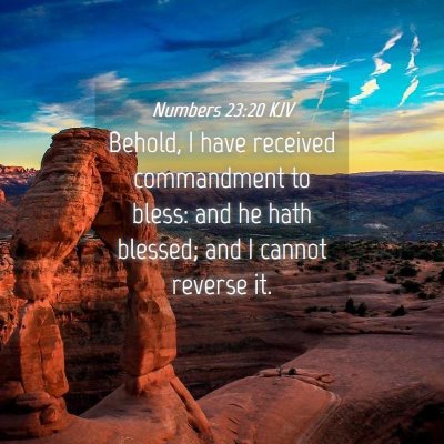 Picture 04 - Numbers 23:20 KJV - Behold, I have received commandment to bless: and - Bible Verse Picture