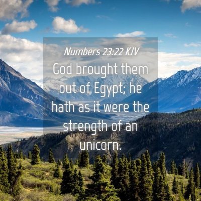 Picture 04 - Numbers 23:22 KJV - God brought them out of Egypt; he hath as it were - Bible Verse Picture