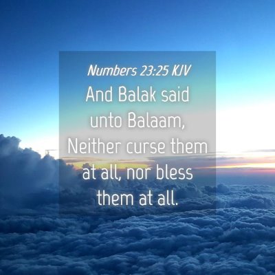 Picture 04 - Numbers 23:25 KJV - And Balak said unto Balaam, Neither curse them at - Bible Verse Picture