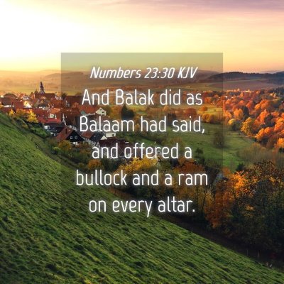 Picture 04 - Numbers 23:30 KJV - And Balak did as Balaam had said, and offered a - Bible Verse Picture