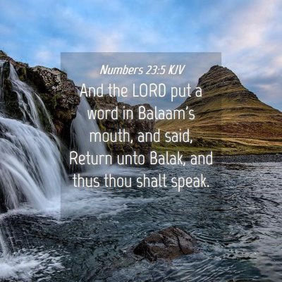Picture 04 - Numbers 23:5 KJV - And the LORD put a word in Balaam's mouth, and - Bible Verse Picture