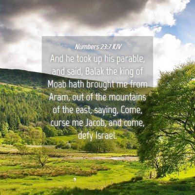 Picture 04 - Numbers 23:7 KJV - And he took up his parable, and said, Balak the - Bible Verse Picture