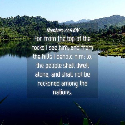 Picture 04 - Numbers 23:9 KJV - For from the top of the rocks I see him, and from - Bible Verse Picture