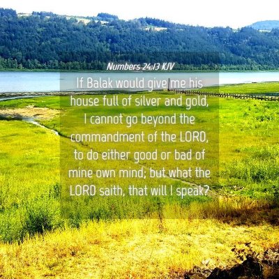 Picture 04 - Numbers 24:13 KJV - If Balak would give me his house full of silver - Bible Verse Picture
