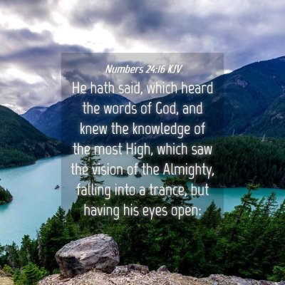 Picture 04 - Numbers 24:16 KJV - He hath said, which heard the words of God, and - Bible Verse Picture