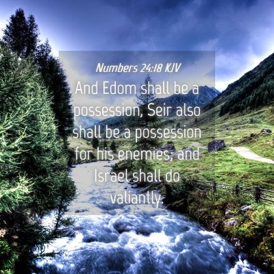 Picture 04 - Numbers 24:18 KJV - And Edom shall be a possession, Seir also shall - Bible Verse Picture