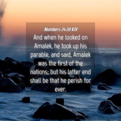 Picture 04 - Numbers 24:20 KJV - And when he looked on Amalek, he took up his - Bible Verse Picture