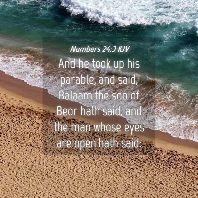 Picture 04 - Numbers 24:3 KJV - And he took up his parable, and said, Balaam the - Bible Verse Picture