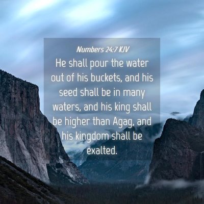 Picture 04 - Numbers 24:7 KJV - He shall pour the water out of his buckets, and - Bible Verse Picture