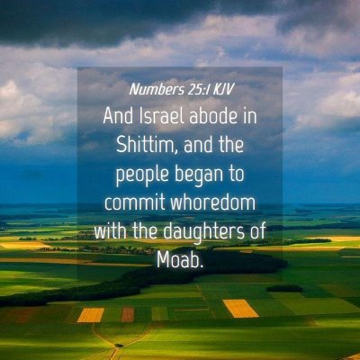 Picture 04 - Numbers 25:1 KJV - And Israel abode in Shittim, and the people began - Bible Verse Picture