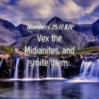Picture 04 - Numbers 25:17 KJV - Vex the Midianites, and smite - Bible Verse Picture