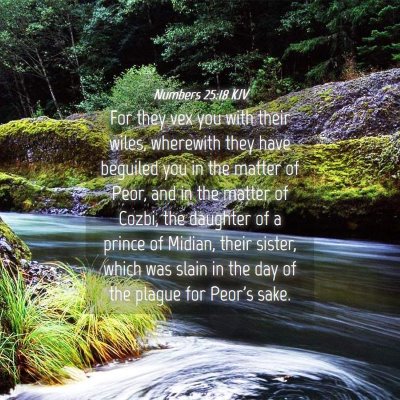 Picture 04 - Numbers 25:18 KJV - For they vex you with their wiles, wherewith they - Bible Verse Picture